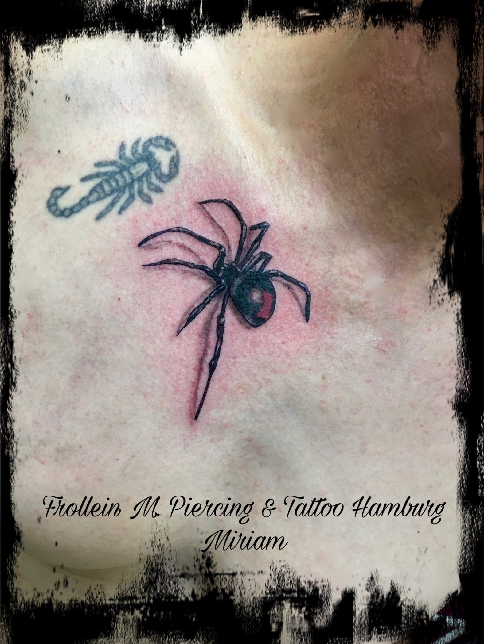 Spinnen Tattoo